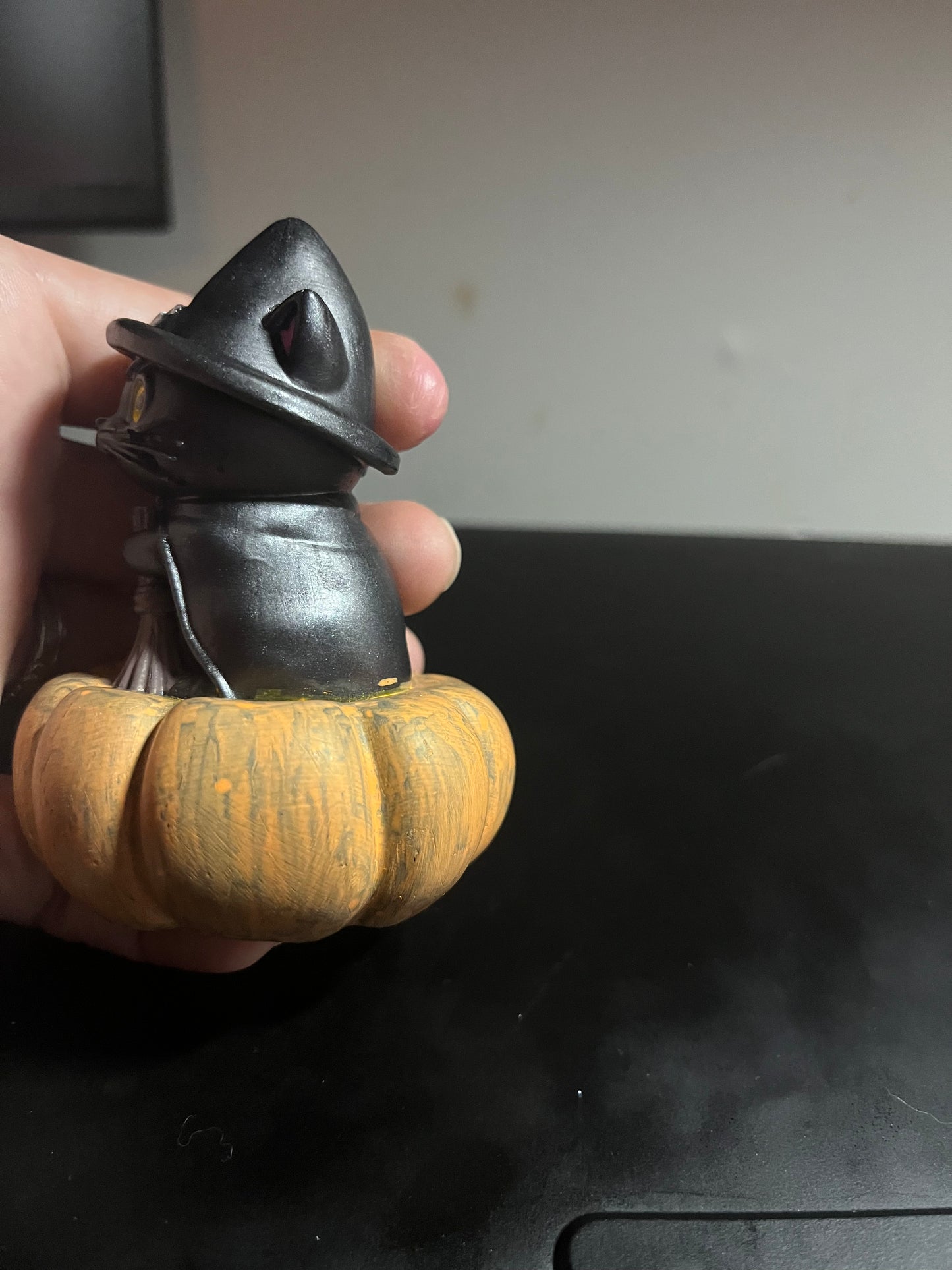 Kitty on a pumpkin