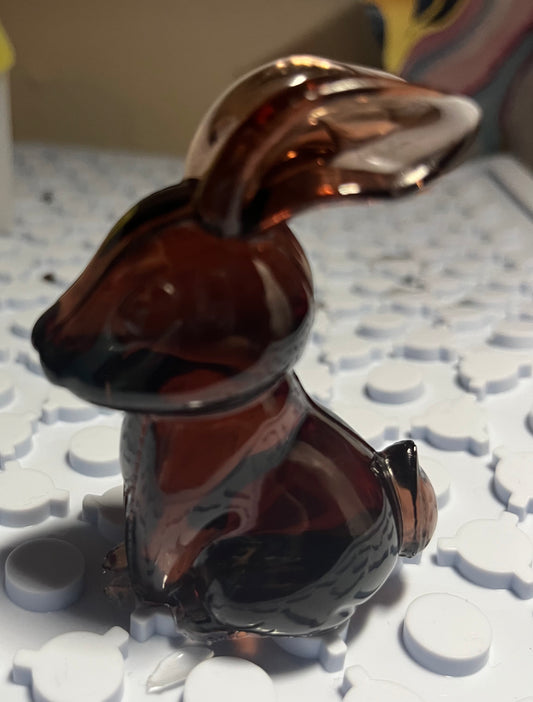 Bunny rabbit