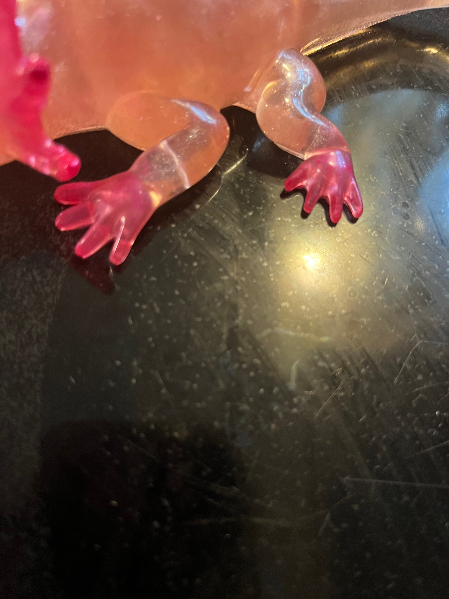 Pink Axolotl