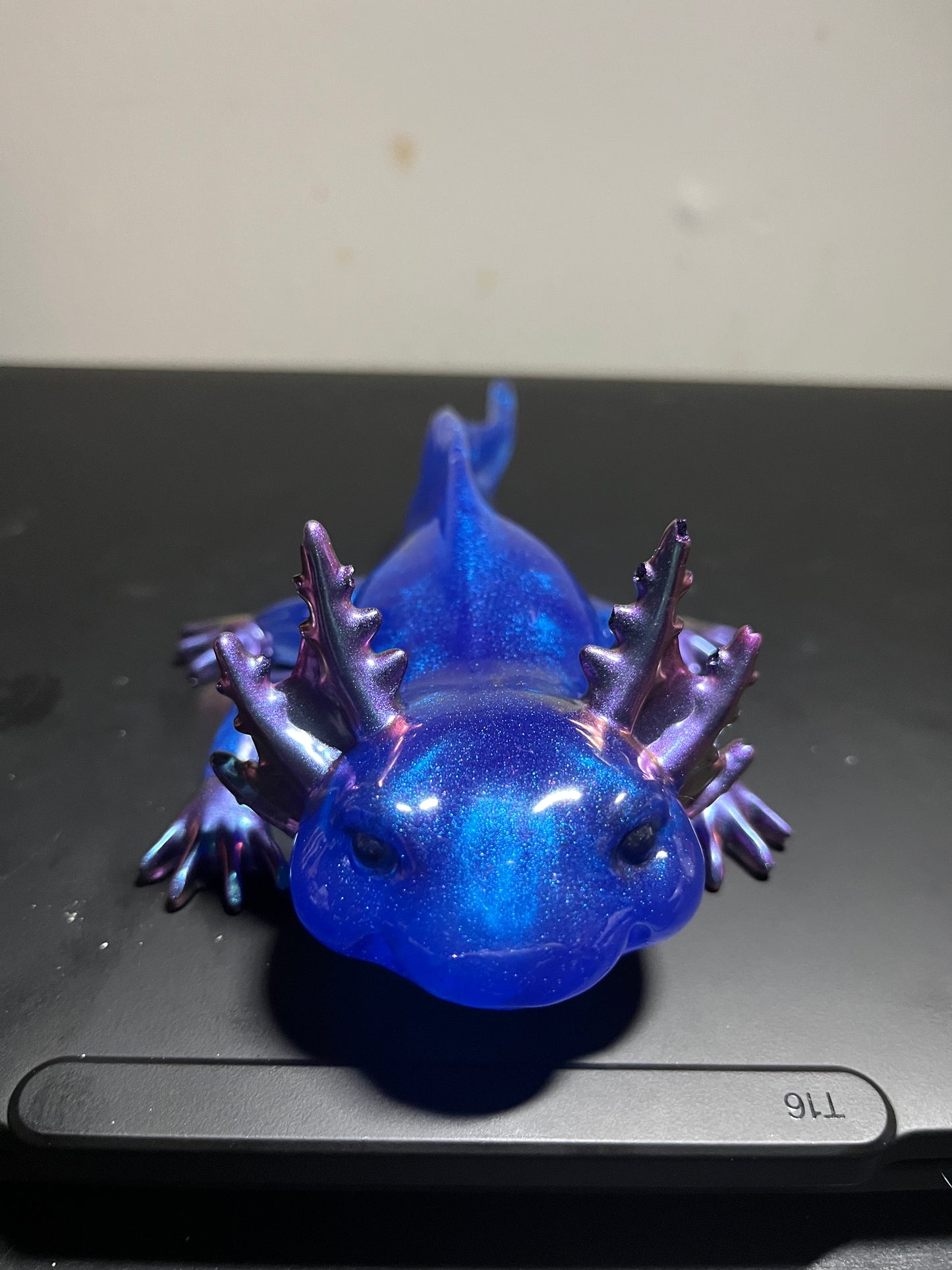 Blue and purple axolotl