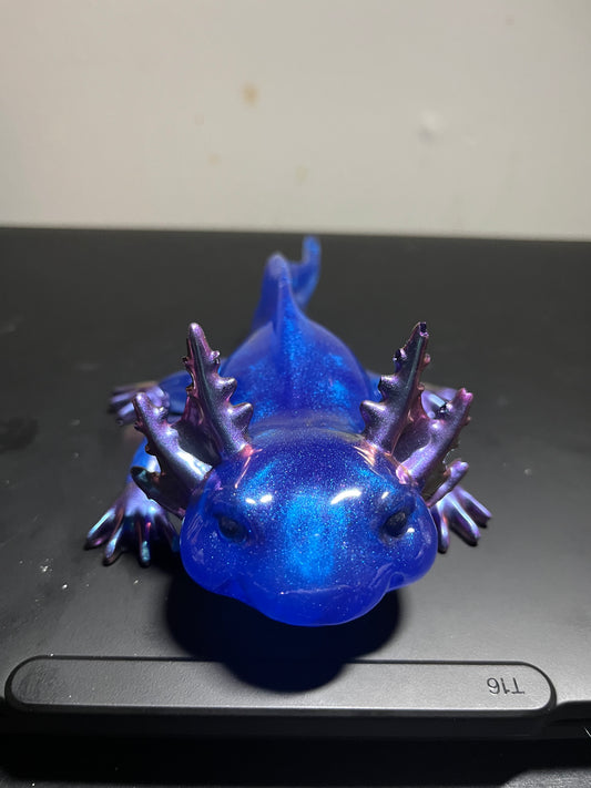 Blue and purple axolotl