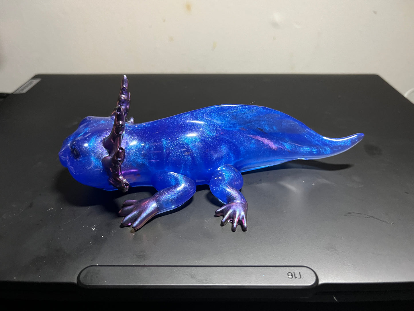 Blue and purple axolotl