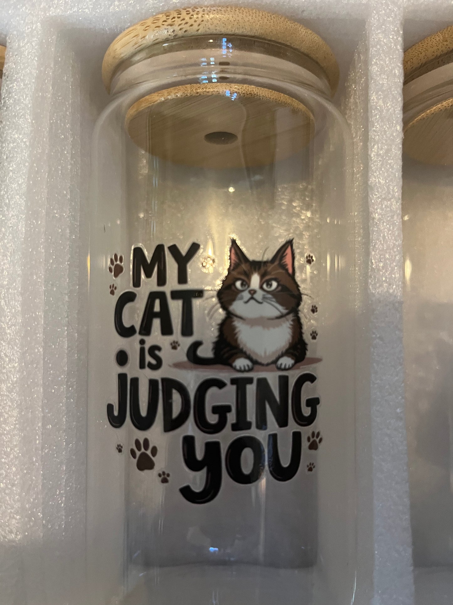 My cat is judging you drinking glass