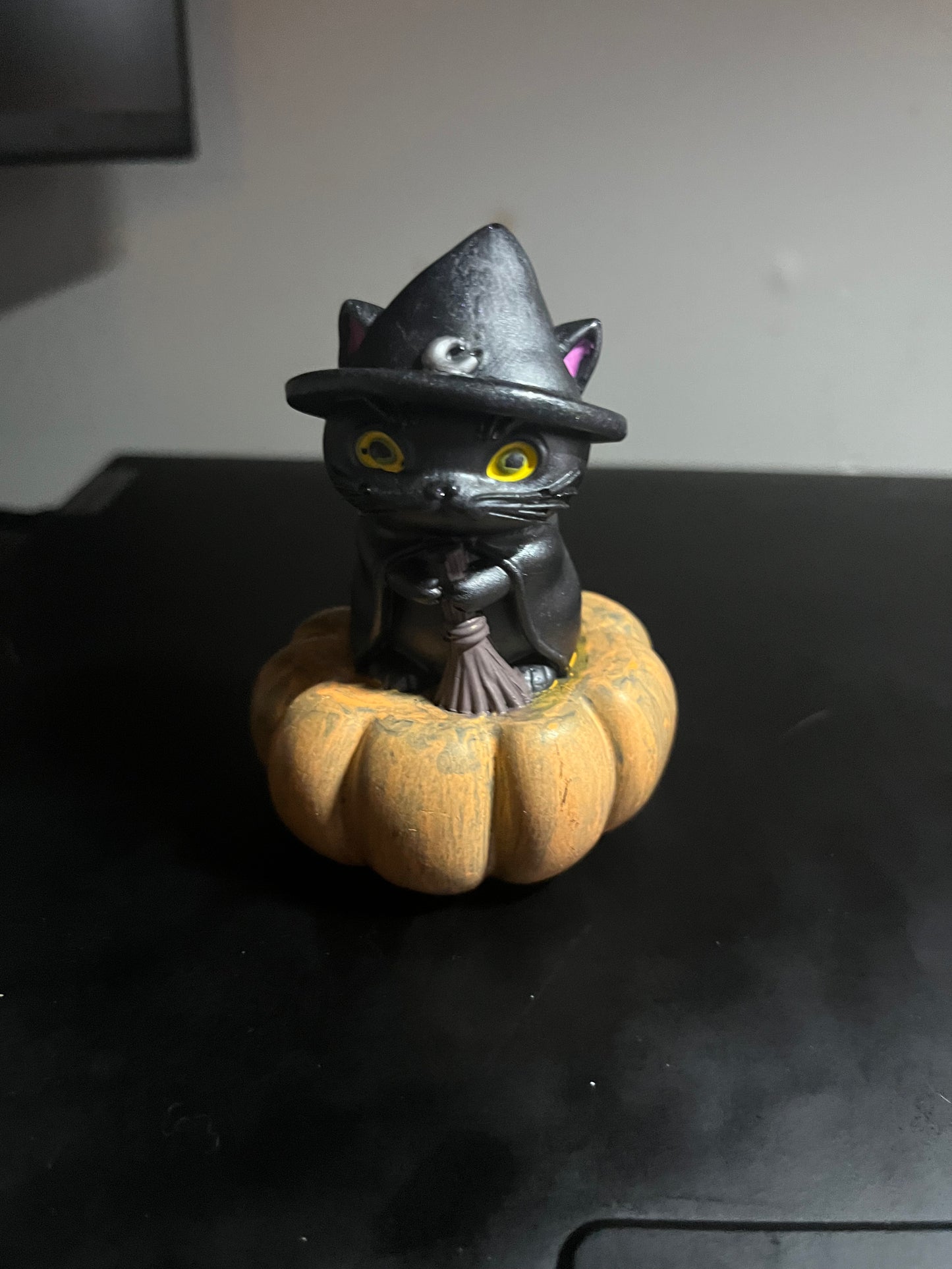 Kitty on a pumpkin