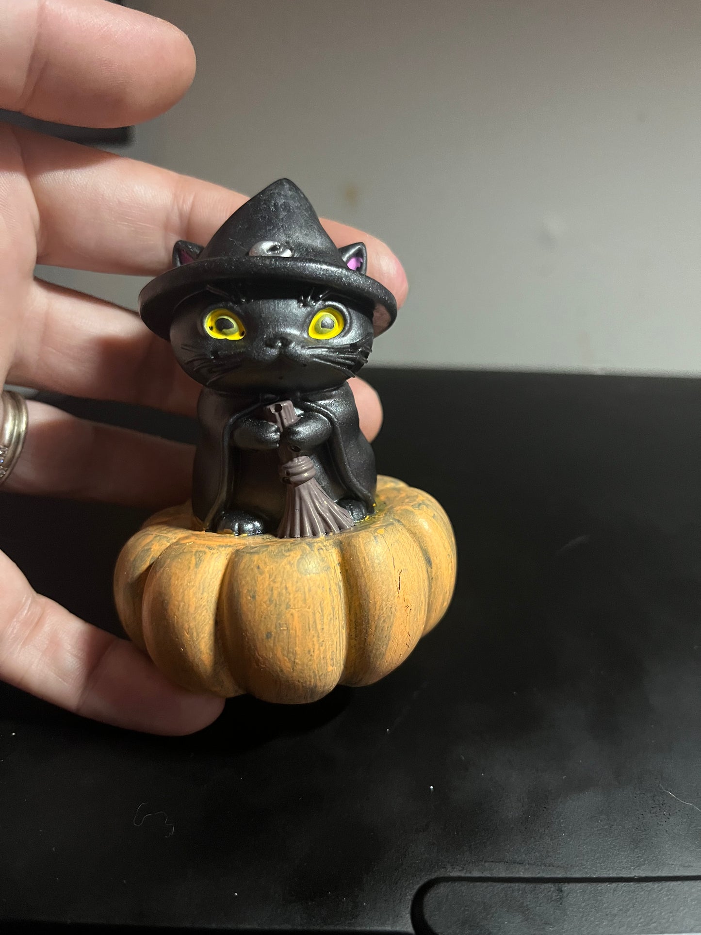 Kitty on a pumpkin