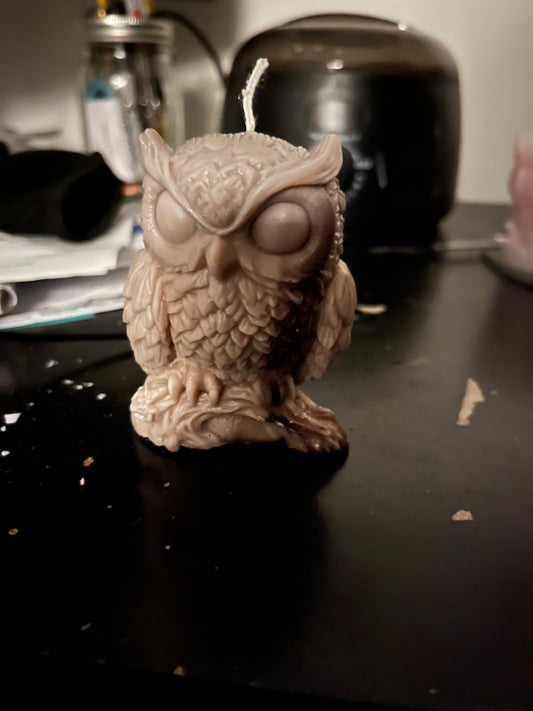 Owl on a branch candle