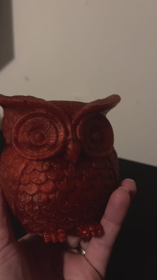 Owl plant holder